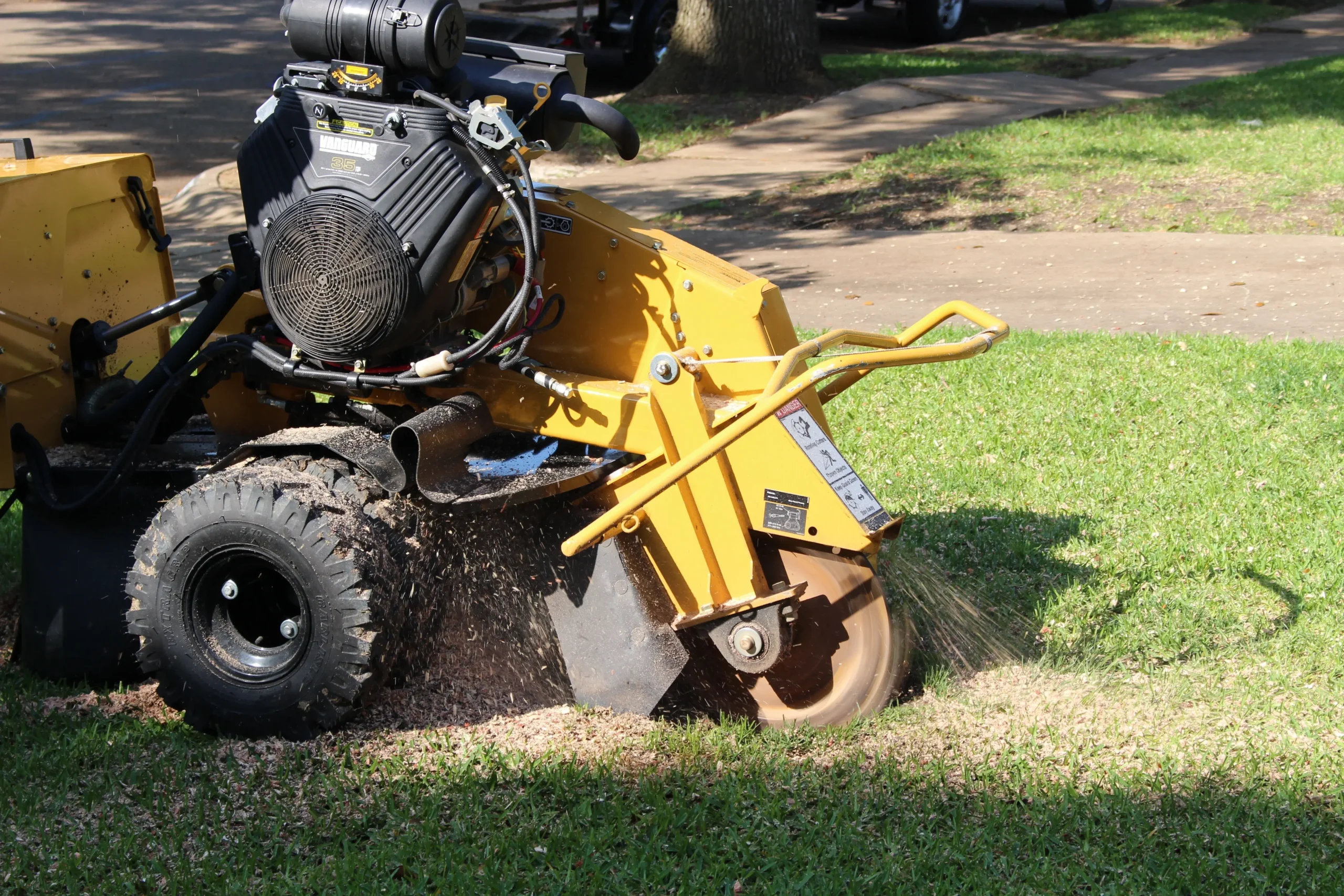 Stump Grinding in Colorado Springs